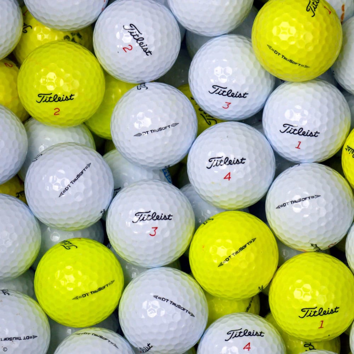 TITLEIST TruSoft Lake Balls