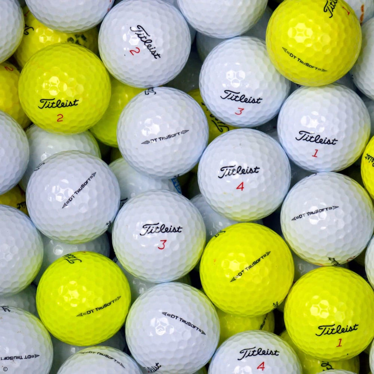 TITLEIST TruSoft Lake Balls